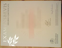 Stockholm University fake diploma