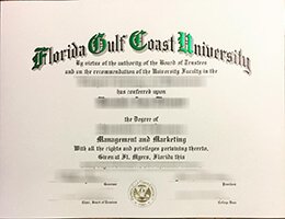 Florida Gulf Coast University diploma