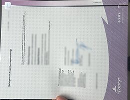 fontys fake diploma