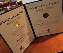 Yonsei University diploma