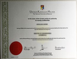 National University of Malaysia degree