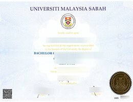 UMS fake diploma