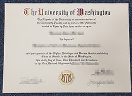 University of Washington degree