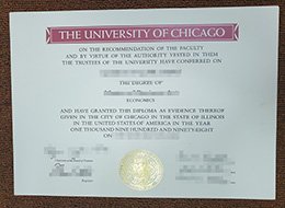 University of Chicago degree online