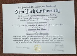 New York University diploma