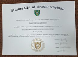 University of Saskatchewan degree