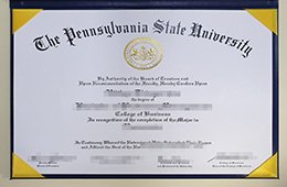 Pennsylvania State University degree