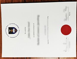 University of Cape Town diploma