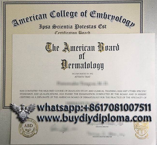 American Board of Dermatology certificate sample, Buy fake certificate