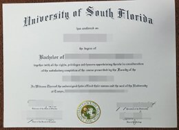 University of South Florida diploma