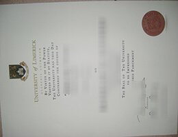 University of Limerick fake diploma