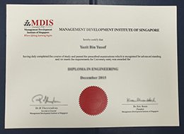 Management Development Institute of Singapore degree