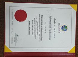 ake Asia Pacific IIT diploma, fake APIIT certificate