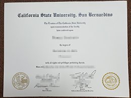 CSUSB degree