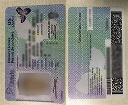 Canada driver license, fake driver license,