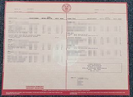 Cornell University transcript