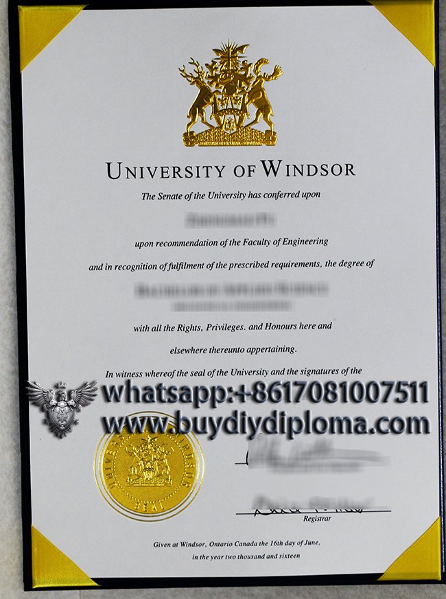 fake University of Windsor diploma in Canada