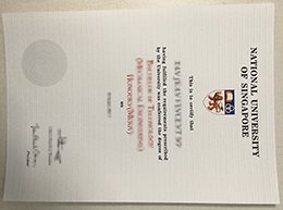 NUS diploma