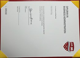 fake PSB Academy diploma, fake PSB Academy certificate, fake Singapore degree,