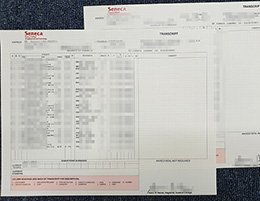 fake Seneca College transcript, buy Seneca College diploma,