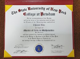 State University of New York diploma