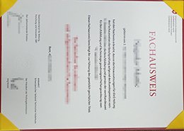 fake Berufsprüfung diploma, fake Switzerland diploma,