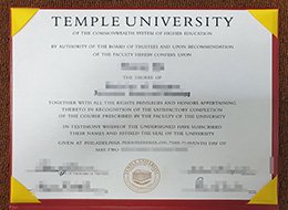 Temple University degree