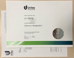 Unitec Institute of Technology diploma