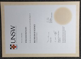 UNSW diploma