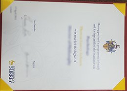 fake University of Surrey degree, buy University of Surrey certificate, buy fake certificate,