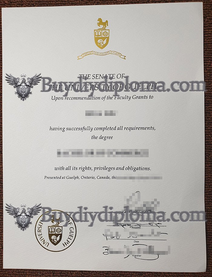 fake University of Guelph diploma in Canada