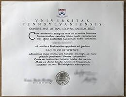 What courses are offered at Princeton University?