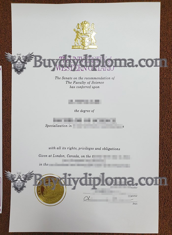 buy a best quality fake University of Western Ontario diploma