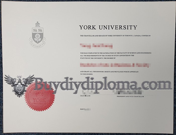 fake York University diploma