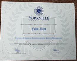 fake Yorkville University diploima, buy Yorkville University degree,