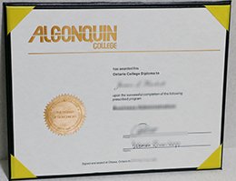 algonquin college diploma