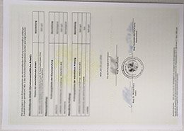 fake BRG and BORG Dornbirn-Schoren transcript, fake Austria transcript, fake Austria diploma,