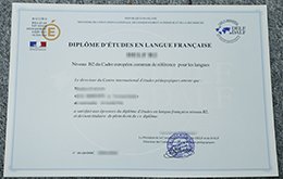 fake vd'études en langue française diploma