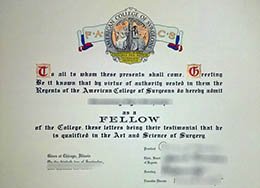 Fellowship Certificate