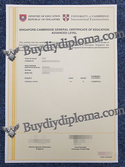 fake SINGAPORE-CAMBRIDGE GENERAL CERTIFICATE OF EDUCATIONADVANCED LEVEL certificate