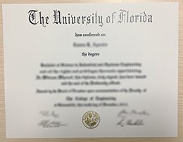 university of florida diploma