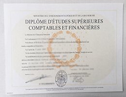 Diplôme de l'Académie de Paris