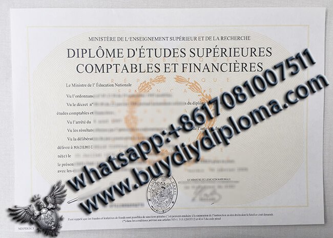 Diplôme de l'Académie de Paris, Diplôme d'études supérieures en comptabilité et finance