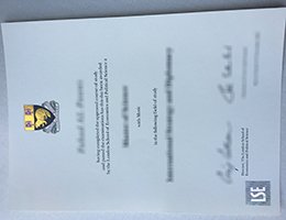 LSE Diploma