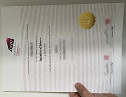 City university of Hong Kong Diploma