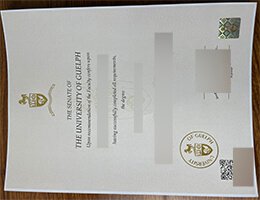 university of guelph diploma