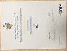 university-of-surrey-diploma