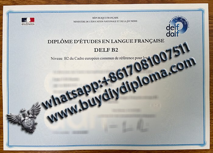 DELF Certificate