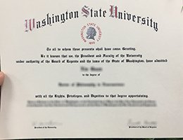 Fake WSU diploma