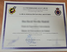 LA UNIVERSIDAD REY JUAN CARLOS diploma